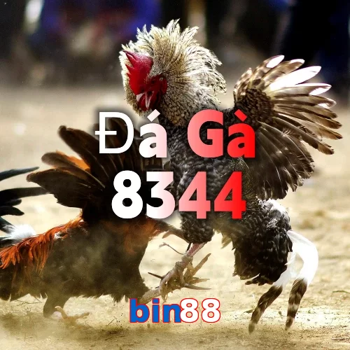 bin88